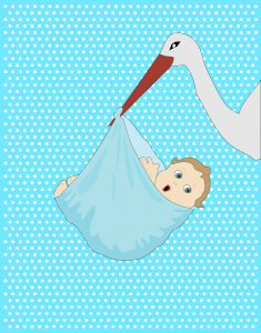 baby-boy-stork